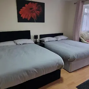 Guest house Star Homes