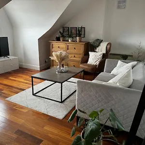 Entire Loft Flat Near Crystal Palace Stadium Apartment *