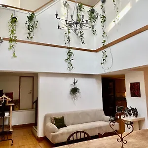 Huge Duplex Loft With Sauna In Apartment *