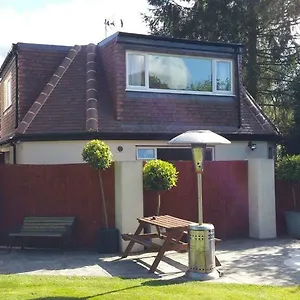 Beautiful Detached 1 Bedroom Apartment