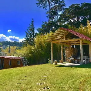 Chalet Mountain View