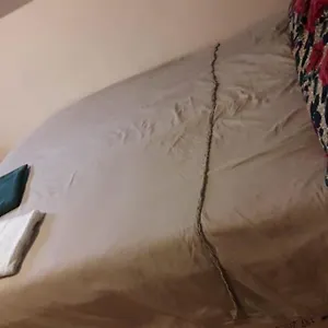 Electric Apartment