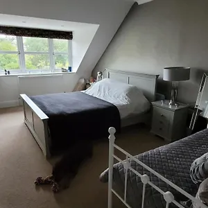 Homestay Hidden Gem *