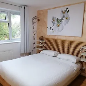 Homestay Beautiful Double Bedroom In Shared Flat Near Olympic Park In Stratford