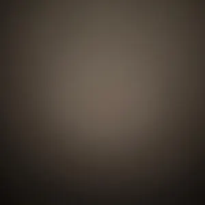 Apartment Studio *