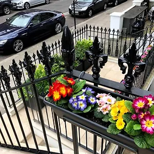 Sunny 1 Bedroom Flat In Apartment London
