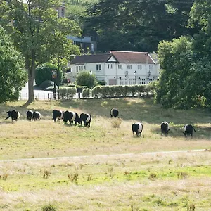 Inn Rose Of York *