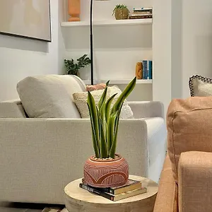 Apartment Gorgeous Newly Refurbished 2 Bedroom In London